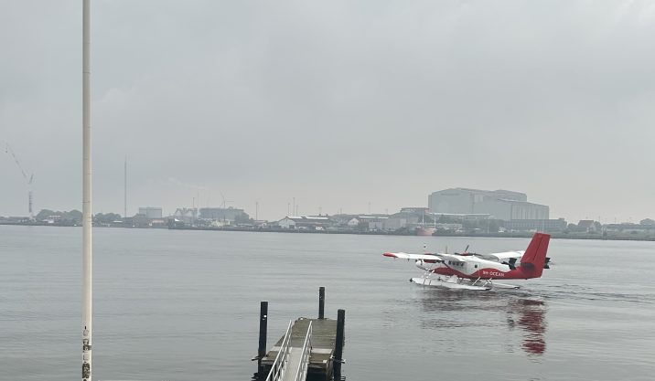Elfly